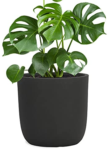 Pflanzwerk® Pflanzkübel Cup - Blumentöpfe Übertöpfe 27cm Ø ANTHRAZIT *Frostbeständige Blumenkübel* *UV-Schutz* *Pflanzenkübel Premiumqualität*