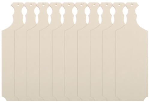 GALPADA Mini Planches à Découper Faciles à Nettoyer sans Bavures Lot de 10 en Bois Beige pour Artisanat et Décoration Intérieure DIY
