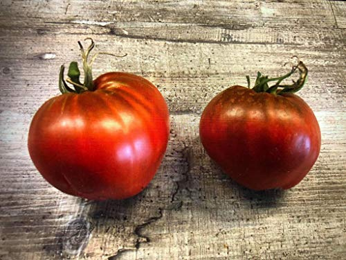 Ochsenherz Tomate Chocolate 10 Samen