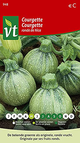 Courgette Ronde de Nice Seeds - Round courgette is Original and Very Decorative - 1,5 g - Seeds: 8
