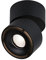 Paulmann 93371 LED spots encastrés Spircle 78 mm incl. 1x8,0 W Blanc chaud Noir mat luminaire en saillie aluminium plafonnier 3000 K, 8 W, Höhe: 83cm