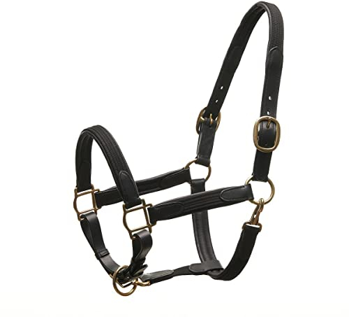 Horsecode Halfter Black Gold VB