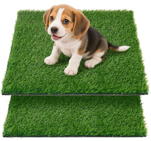Oiyeefo Artificial Pet Pee Grass Mat for Puppy, Pet Turf Fake Grass Replacement Pad for Dog Potty Training, Indoor and Outdoor - 2 Packs (18 x 28)
