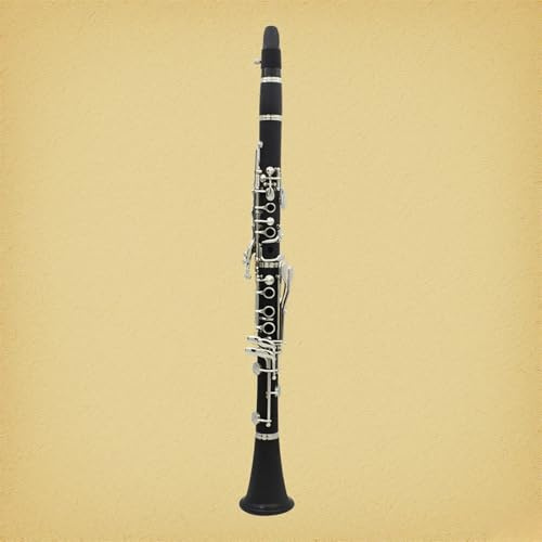 IRIN B - Clarinetto piatto in ebanite, sistema a 17 tasti, con custodia, tracolla, cacciavite
