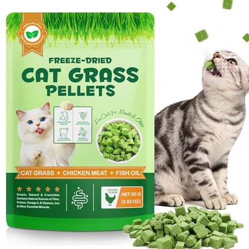 80g Katzengras Snacks, Gefriergetrocknete Snacks für Katzen – Ballaststoffreich, Unterstützt die Zahnreinigung & Verdauung, Reduziert Haarballen