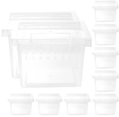 Milisten 10 Stück Transparente Reptilien Futterboxen mit Belüftung für Terrarien Zucht und Habitatboxen für Kleine Reptilien Spinnen und Amphibien