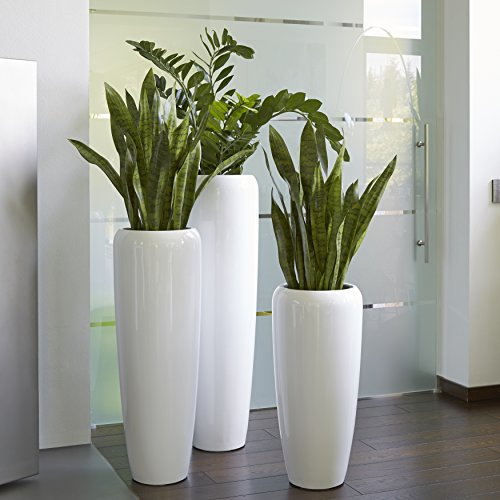 Moderne & Hochwertige Pflanzvase/Pflanzkübel – Klein: 75cm - Hochglanz Weiß - Fiberglas - Mit Einsatz – Indoor & Outdoor – Wetterbeständig & Frostsicher