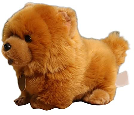 Asotagi Niedlicher Chow-Hund, 25,4 cm, Plüschtier, weiches Stofftier
