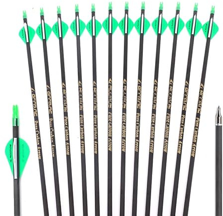 ACCMOS ID 6,2 mm Jagdpfeil Spine 300 Carbon Pfeile Länge 31 Zoll für Recurve Bogen Compound Bögen Bogenschießen 12St (Spine 300, 31inch)