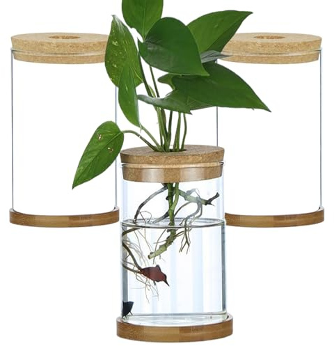Terrarium de Plantes Terrariums en Verre pour Plantes Accessoires de Plantes d'intérieur 3 pièces Station de Propagation de Plantes à Couvercle Transparent avec Plateau Pots de Propagation,Droit