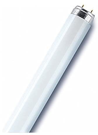 Osram L 30 W/830 Tube Fluorescent 25 x 1 LF