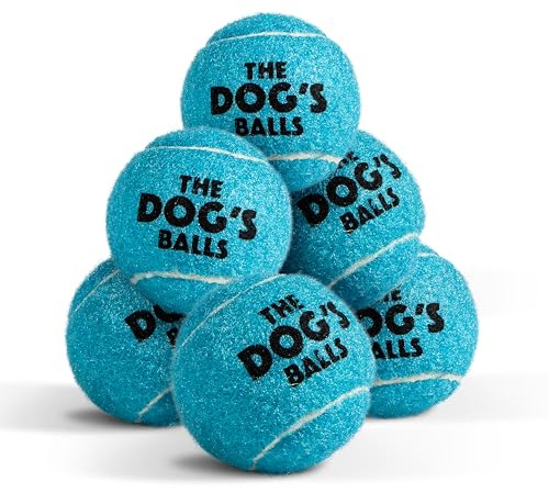 The Dog’s Balls – Hundetennisbälle, Blau, Small, 6er-Pack, Nicht scheuernder Filz, Apportierbälle mit robustem Gummikern, Schwimmen im Wasser