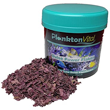PlanktonVital Dulse Power Flakes Lappentang Flocken Seaweed Algenfutter Meerwasser Fischfutter Algen Dulse Lappentang Dulse (250ml Dulse Flocken)