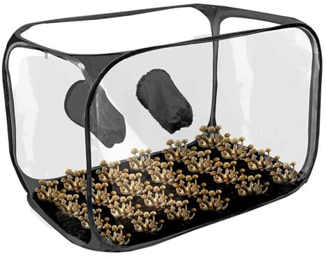 Svamp stilluftslåda | planteringspåse svamp tält förökningsstationer, svampodlingspåsar, trädgårdstillbehör, popup-design, odlingsbehållare