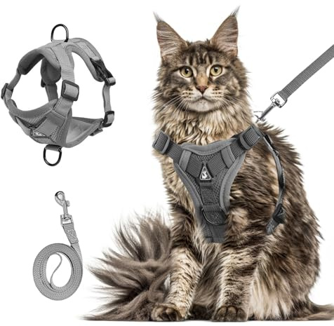 Ausbruchsicheres Katzengeschirr mit Leine – Verstellbares Softgeschirr für Katzen aus Stoff, Atmungsaktiv & Reflektierend, Grau, Größen S–XL (Grau, XL)