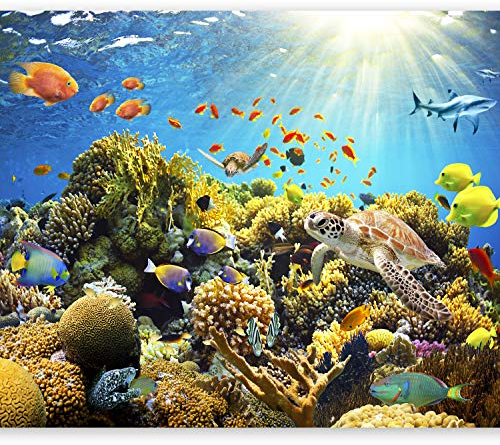 murando - Fototapete Selbstklebend Aquarium 294x210 cm - Foto Tapete Tapetenfolie Möbelfolie Wandverkleidung Wandtapete Motivtapeten Bildtapete Wohnzimmer 3d Effekt – Unterwasserwelt b-A-0002-a-a