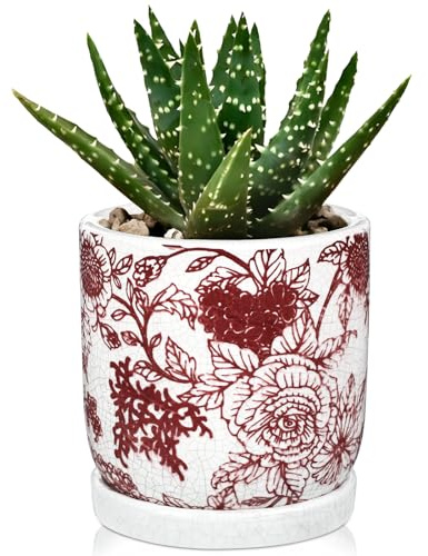 Hollyone Blumentopf mit Untersetzer und Drainageloch Keramik Pflanzentöpfe Rund Übertöpfe für Zimmerpflanzen Sukkulenten Topf für Outdoor Garten Pflanzgefäße 14cm, Rot