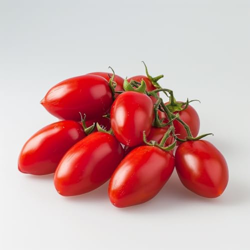 35 Graines de Tomate Roma