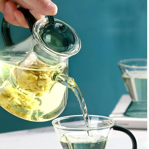 Tetera de vidrio con infusor, tetera con colador para té suelto, tetera segura en estufa, tetera de 600 ml se puede utilizar en estufa de gascalentadores eléctricos de cerámicacalentador de tetera