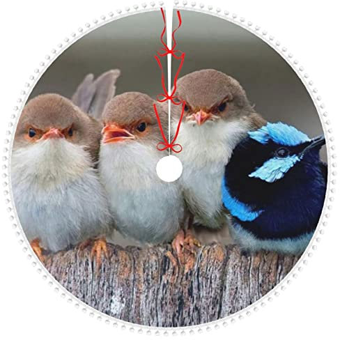 Vier Vögel bedruckter Weihnachtsbaumrock mit kleinen Pompons, Rand, 76,2 cm, Weihnachtsbaumröcke für Weihnachten, Neujahr, Urlaub, Party