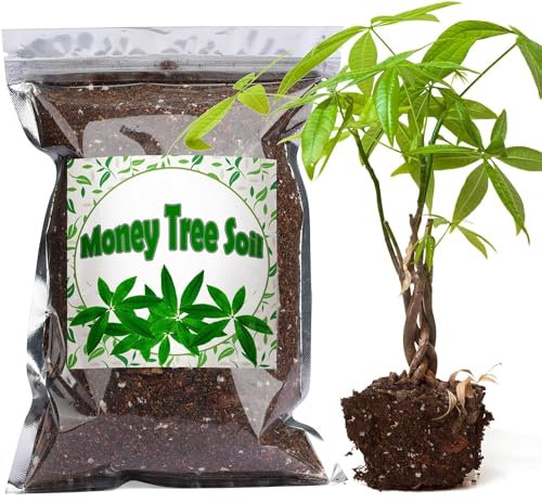 Organic Money Tree Soil Mix 1L, Indoor Plants Potting Mix for All Potted Money Tree, Grow Healthy houseplants Indoors