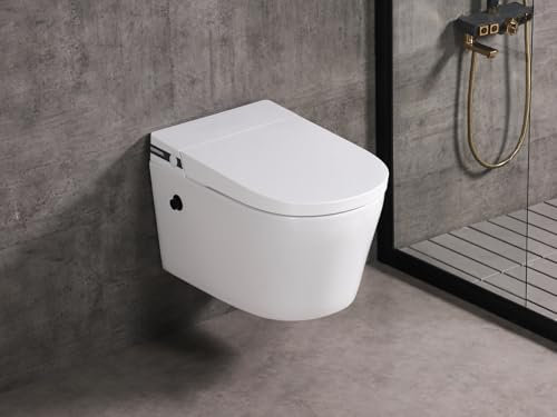 MEJE #T010W - New Wall Hung Toilet Combo, Wall Mounted Toilet Bowl with Built in Water Tank, Soft Close Seat, Dual Flush, White (Include in-Wall Carrier)
