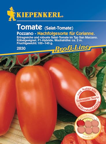 Kiepenkerl Profi-Line Salat-Tomatensamen Pozzano, F1 2830 - Ertragreiche und robuste Sorte - Wuchshöhe 2m - Gemüsesamen, Samen Gemüse, Saatgut, Gemüsepflanzen