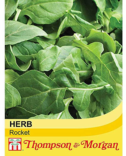 Herb Rocket - Seeds Garden Salad Easy to Grow Your Own Hardy Annual Patio Roquette 1 Packet (500 Seeds) by Thompson and Morgan