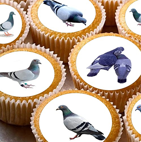 24 edible pigeons birds british wildlife kids childrens party decorations Iced/Icing Cupcake Topper Edible Fairy Cake Bun Toppers Round