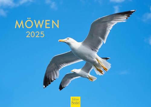 Edition Seidel Premium Kalender Möwen 2025 Format DIN A4 Wandkalender Tierkalender Vogel Vögel Wasservögel Wildvögel Wildtiere