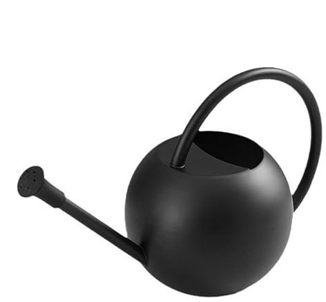 Regadera de plantas, regadera de acero inoxidable, hervidor de riego pequeño, regadera de flores de interior, regadera de bonsái, elegante hervidor de riego, regadera de jardín, regadera de plantas de