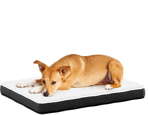 Avalo Orthopädisches Hundebett L - 91x69 cm - Waschbar/Memory Foam/Anti-Rutsch - Orthopädisches Hundekissen