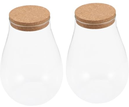 Toyvian 2stücke Glas-Terrarium Mit Holzdeckel Mikro-landschaftsbehälter Pflanzenterrarium Glaspflanzgefäß Für Indoor-Garten Terrarium-glasbehälter Schlichtes Design Für Zuhause Und Büro