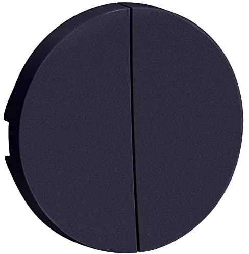 Schneider Electric - Odace Anthracite, enjoliveur double va-et-vient et poussoir - S540614