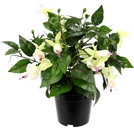 Flair Flower Künstliche Zierpflanze Fuchsien im Topf Kunstpflanze Zimmerpflanze Blüten Blumen Kunstblumen Seidenblumen Unechte Deko Gefälschte Doppelblütenblätter Topfpflanze Hybrida Hort Flores