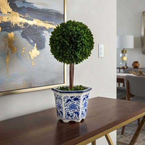 Galt International Preserved Boxwood Topiary Tree in Blue & White Ceramic Pot - Plant and Table Centerpiece Stunning Greenery and Plant Decor for Home 5.9 Diameter Topiary 14 Tall