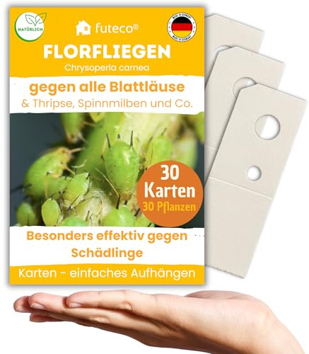 Futeco® – Florfliegenlarven gegen Blattläuse, Spinnmilben, Thripse & Co. - Karten zum einfachen Aufhängen - 30 Karten für 30-60 Pflanzen - starke Wirkung bei Gemüse-, Zier- & weiteren Pflanzen