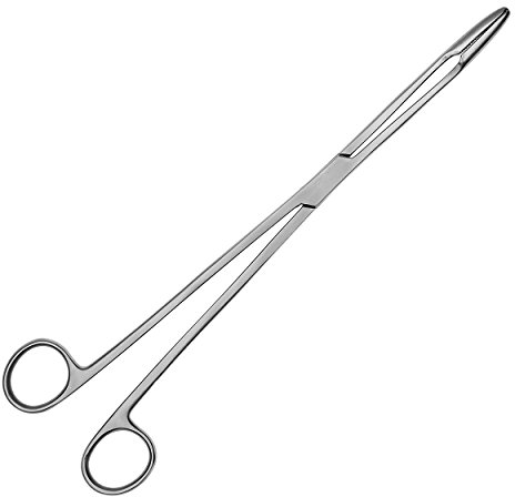 May - Grain Pince après Maier - Droite - Longueur: 25 cm - Acier inoxydable