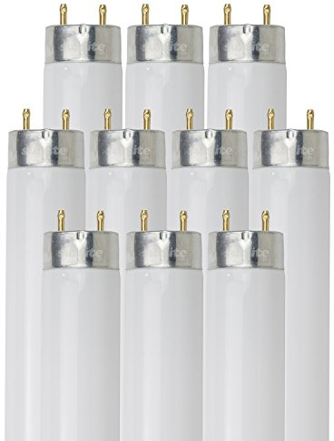 Sunlite F17T8/SP835/10PK T8 High Performance Medium Bi-Pin (G13) Base Straight Tube Light Bulb (10 Pack), 17W/3500K,...