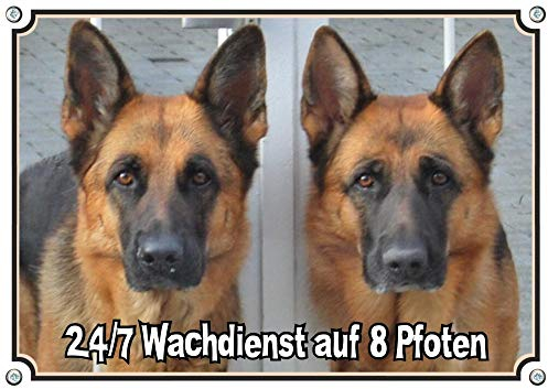 Petsigns Hundeschild mit 2 Deutschen Schäferhunden - uv-beständiges Warnschild mit Wachhund, DIN A5