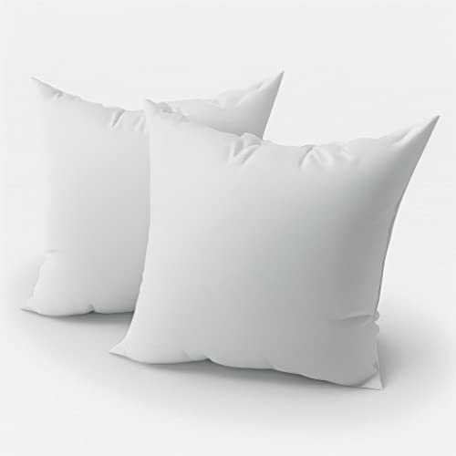 Niscioma Set Di 2 Cuscini - Imbottitura per Cuscino Divano 40x40 cm, Pacco imbottiture per cuscini decorativi, Riempimento interno quadrato anallergico - Confezione da due pezzi