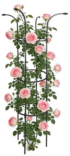 Tutor para Jardín para Plantas Trepadoras - Decorativo Vertical Resistente al Óxido Estable,Jaula de Soporte, Enrejado Paraguas | para Enredaderas, Rosas, Clemátides, Hortalizas, Pepinos, Hortensias,