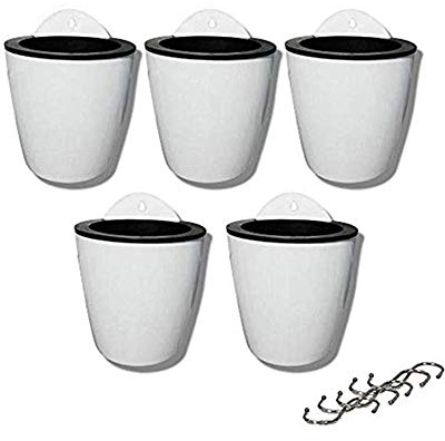 XIZHI confezione da 5 vasi per fiori pigri da appendere all’acqua, piante grasse e piccoli vasi da fiori per interni ed esterni, da appendere alla parete, con 5 ganci, colore bianco