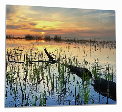 Wallario Herdabdeckplatte/Spritzschutz aus Glas, 1-teilig, 60x52cm, für Ceran- und Induktionsherde, Schilf am Abend - Sonnenuntergang über der Seelandschaft