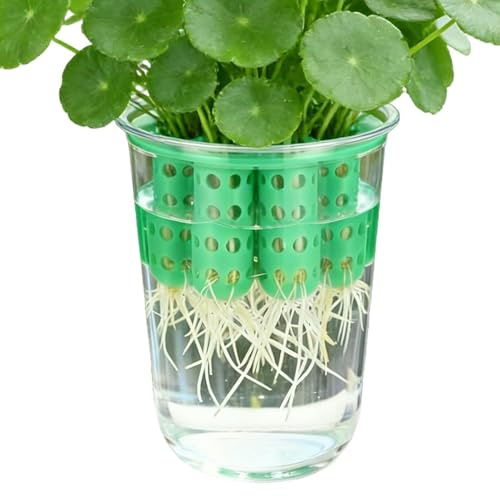 Fioriera verde per cipolle, , 9 x 6 x 9 cm, trasparente, riutilizzabile, per piantine da interni, davanzale, giardino, casa, cucina, angolo, ecologico, sostenibile, di lunga durata, in