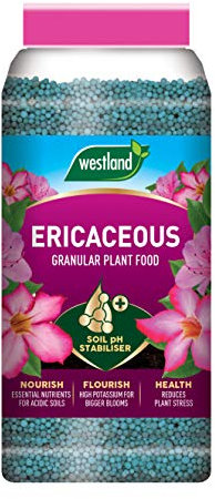 Westland Ericaceous Plant Food Granules Jar 900 g, Green