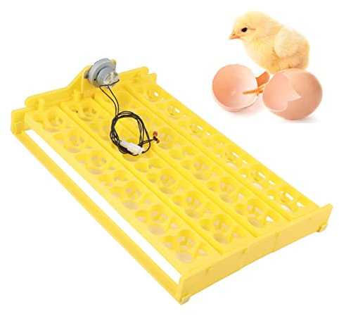 Egg Incubator, 24 Eggs Poultry Hatching Machine Automatic Turning Egg Incubator Egg Tray for Hatching Chicken Duck Goose Quail Birds Turkey Eggs (12V)