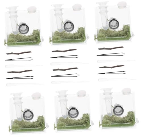 BESPORTBLE 4sätze Transparente Sprungspinnen-habitatbox Aus Robustem Acryl Terrarium Für Reptilien Und Insekten Leicht Zu Reinigen Beobachten Sicher Und Benutzerfreundlich