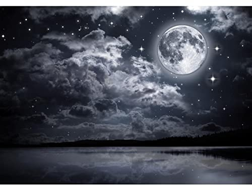 Runa Art Papel tapiz fotográfico 396 x 280 cm Noche de Luna Llena | Lana Decoración De Pared Sala Cuarto | Fabricación alemana | Negro y blanco 9116012c