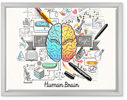 QUADRO SU TELA CANVAS INTELAIATO - CON CORNICE - Cervello Idea Concept - Psicologia - Brainstorm Business - 30x40cm - Stile Moderno Bianco - (cod.2853)